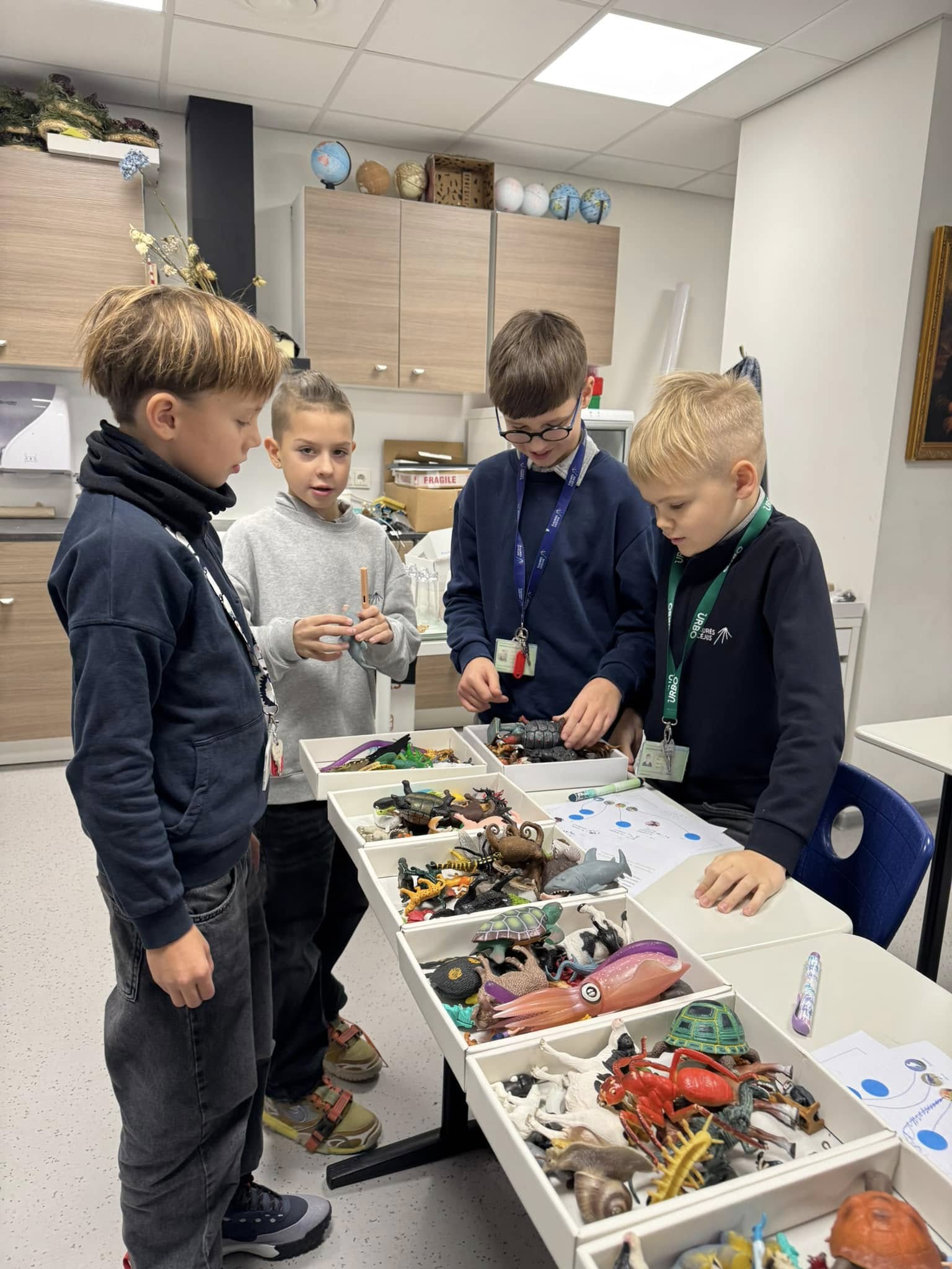 Ketvirtokai klasifikuoja gyvūnus