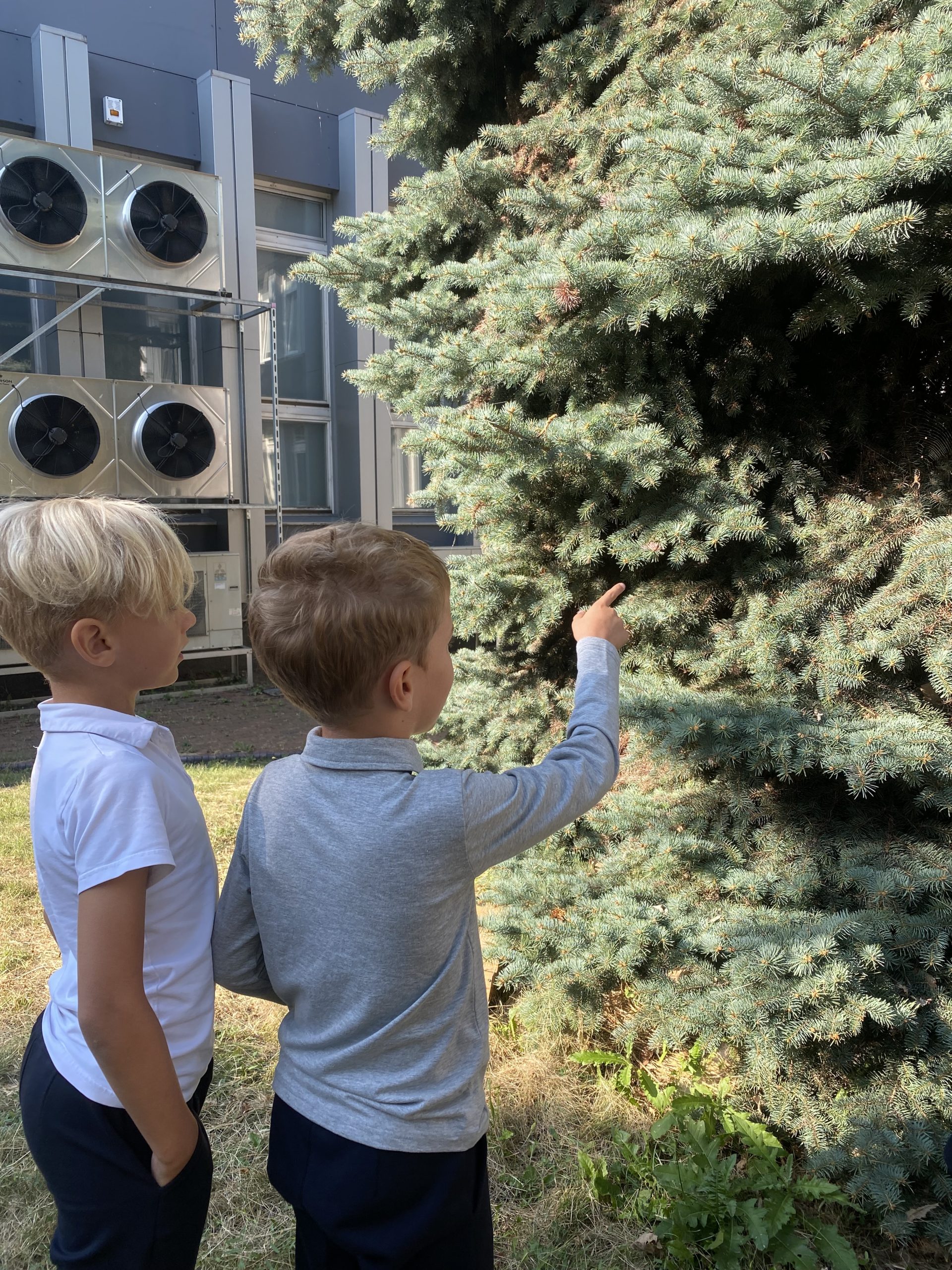 STEM / STEAM veiklos: žadiname pradinių klasių mokinių smalsumą