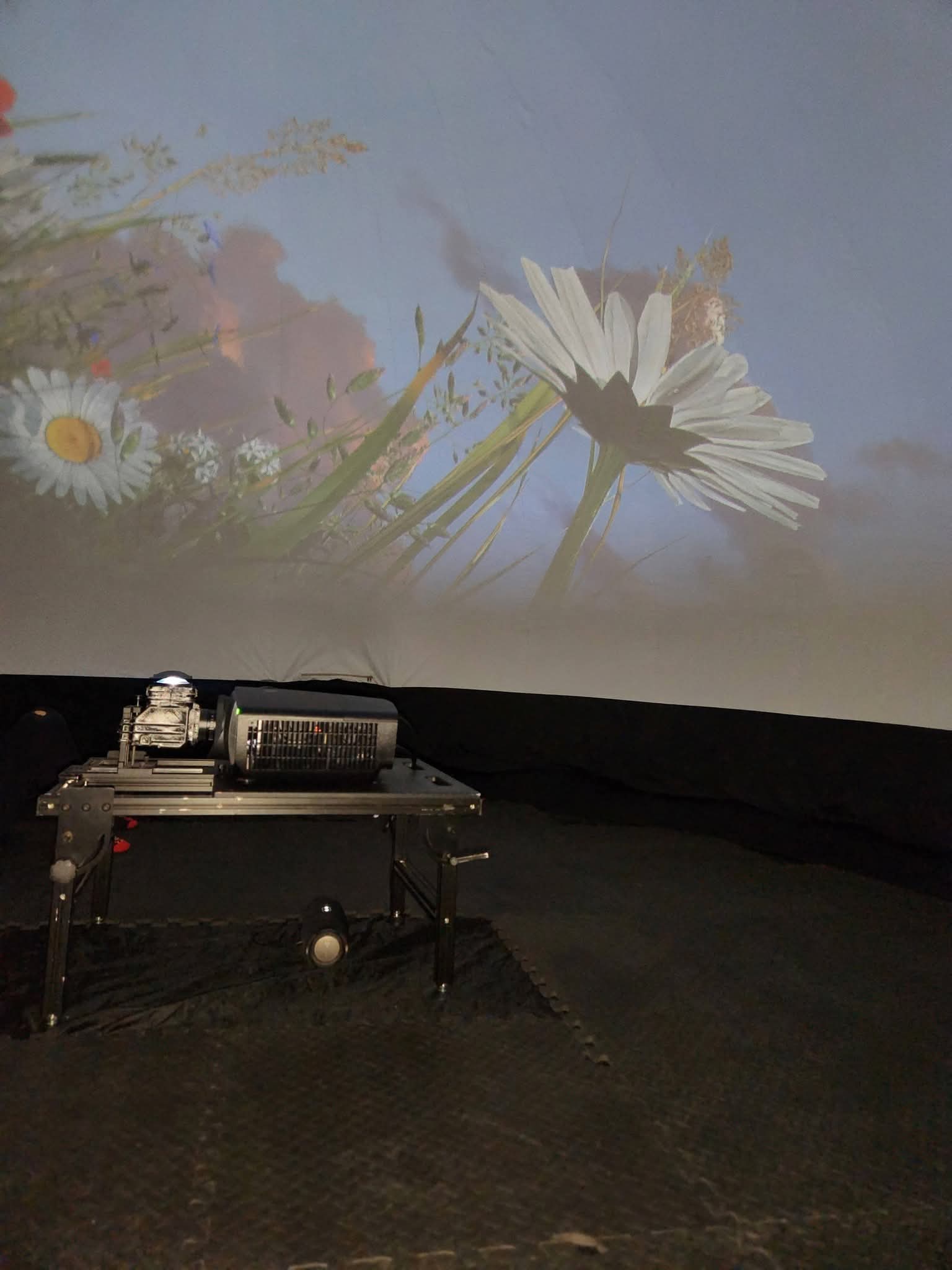 Sferinio kino projektorius ir ramunių vaizdas