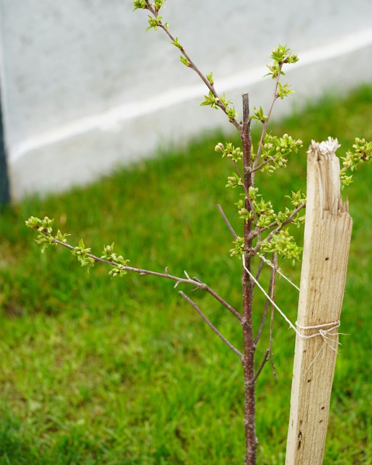 Untitled design (6)
